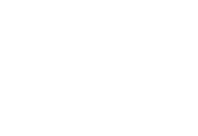 Extra